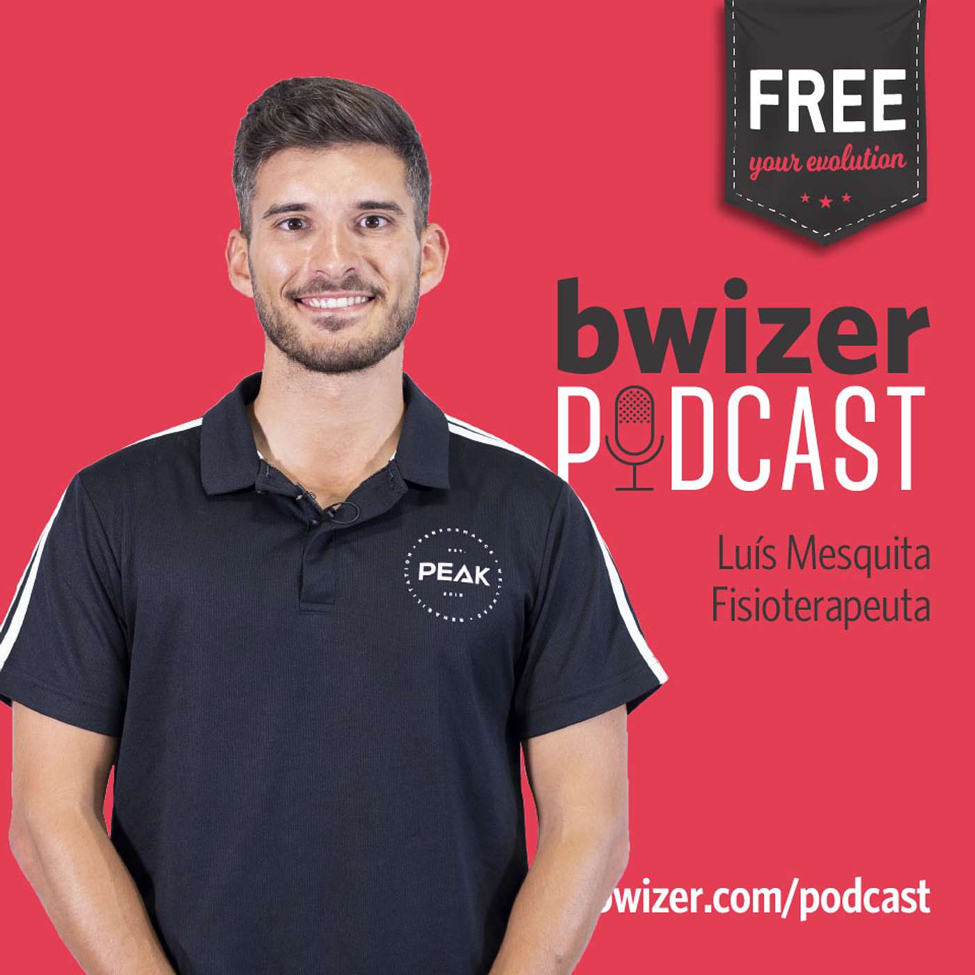 Bwizer Podcast