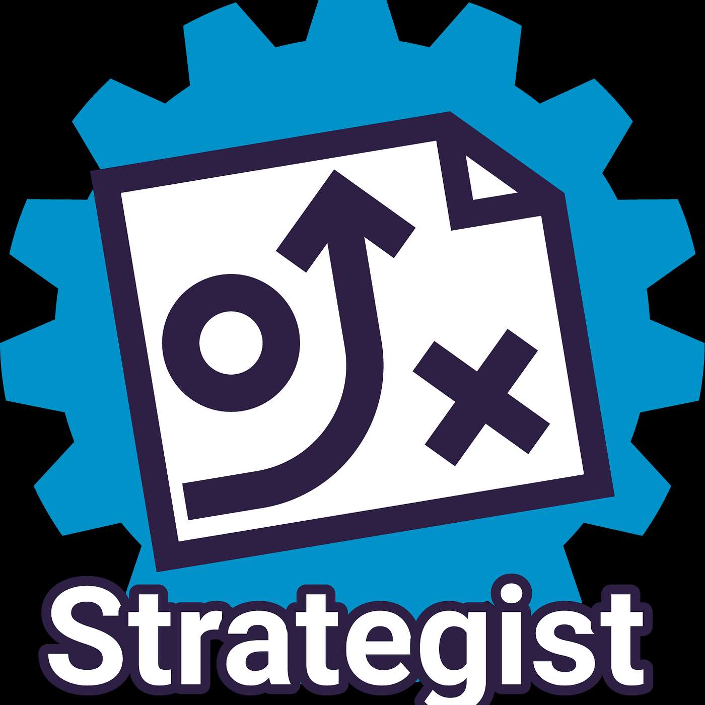 Reference Profile Series: The Strategist Manager