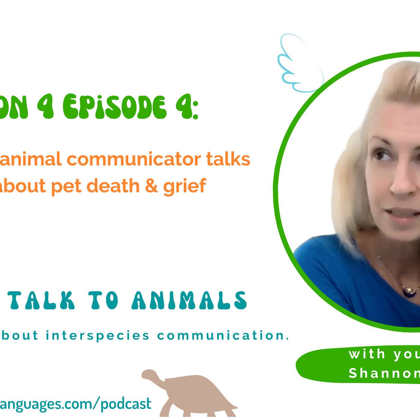 Let\'s Talk to Animals