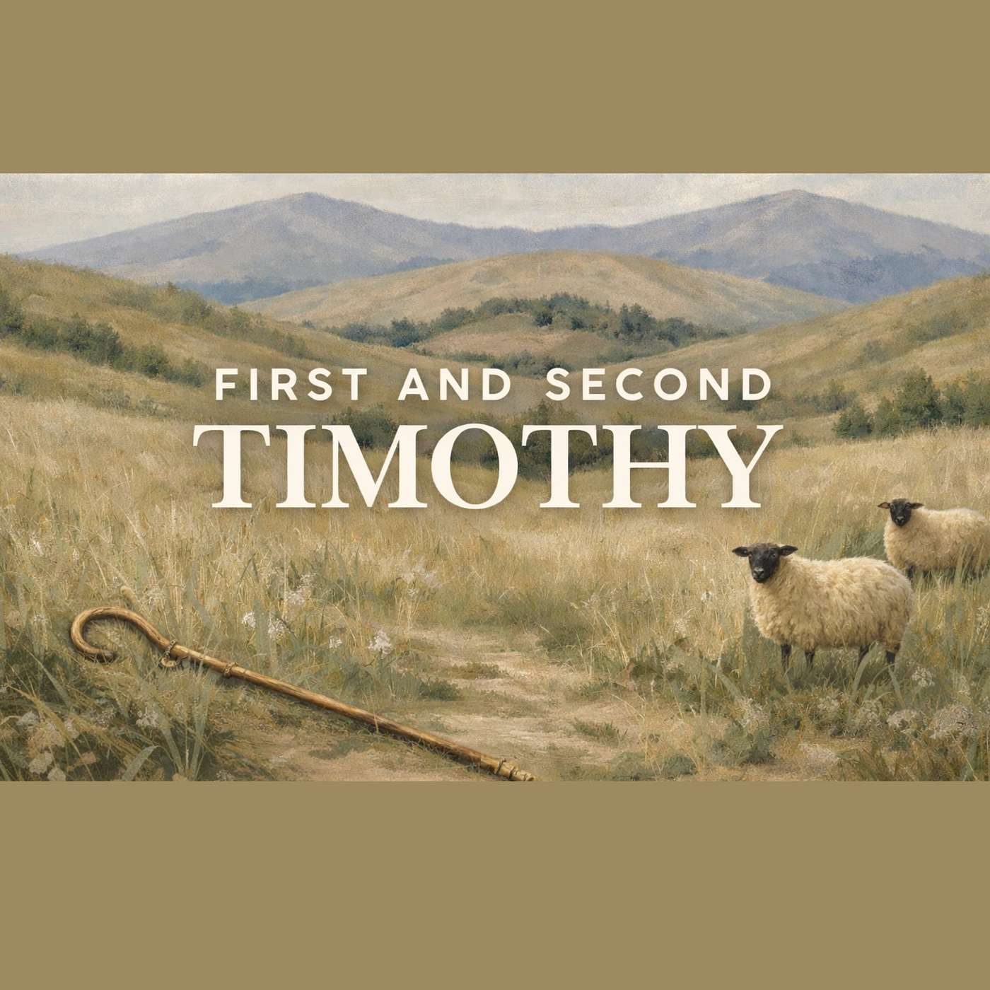 1 Timothy 1:8-11 (The Law & The Gospel)