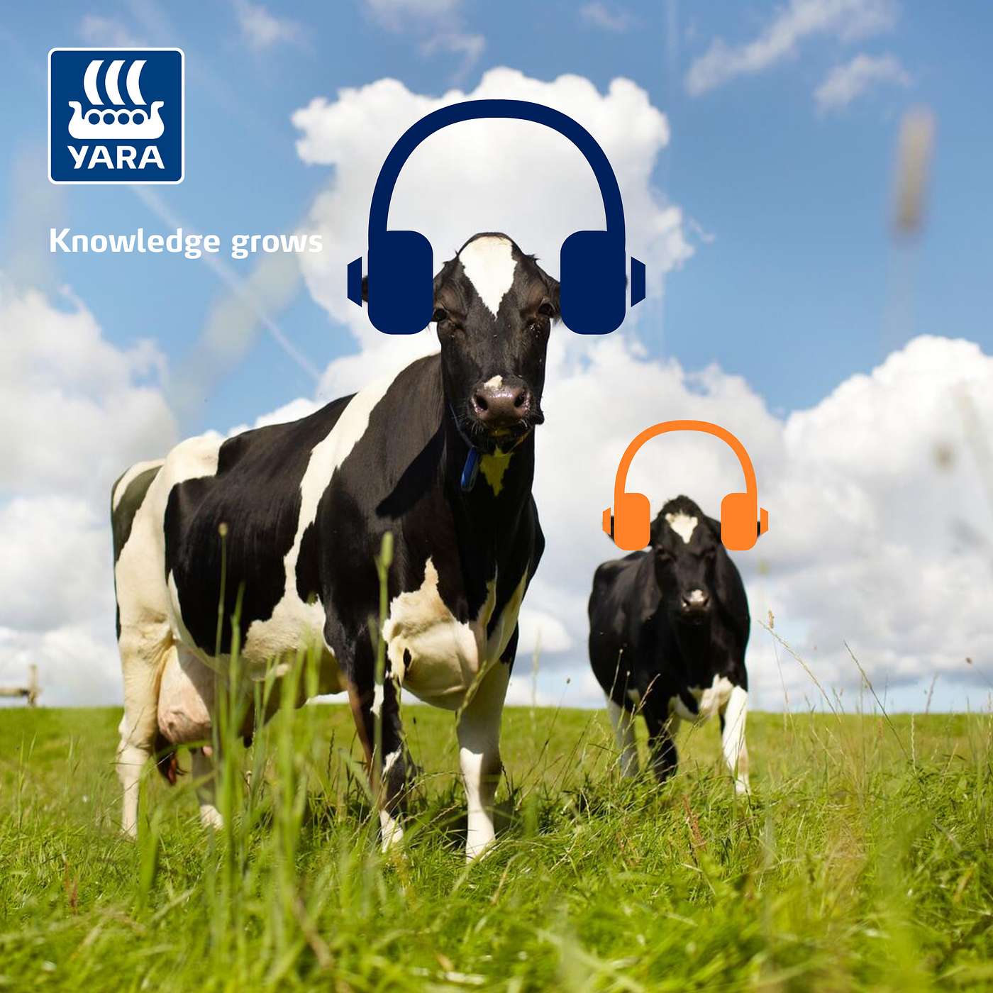 De Yara Podcast