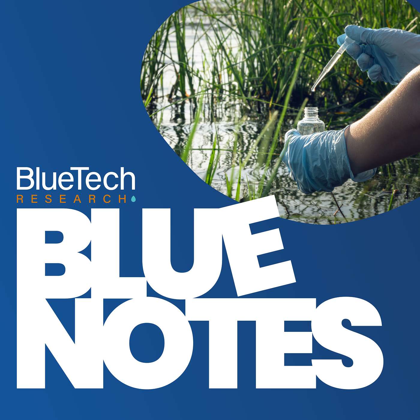 BlueNotes