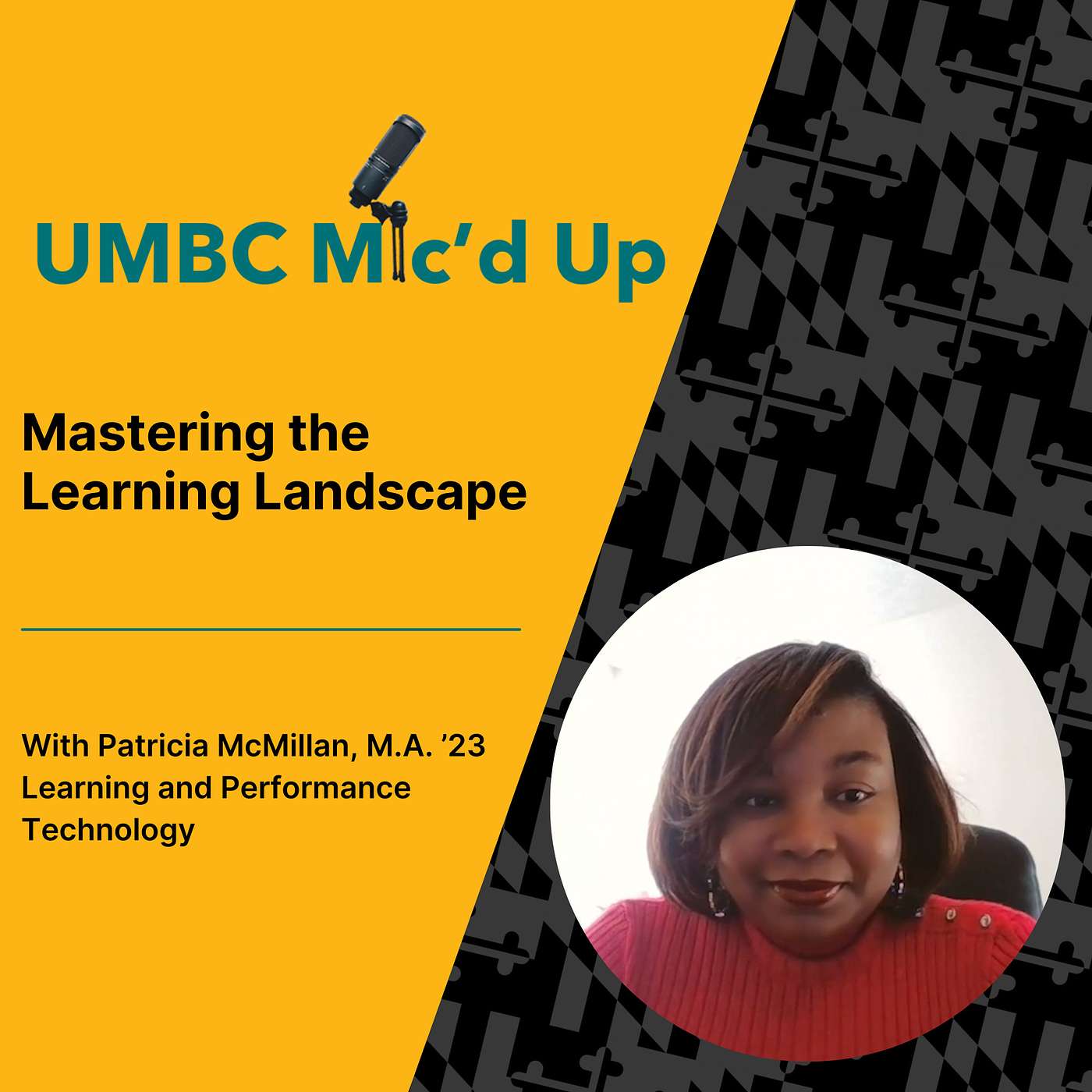 Mastering the Learning Landscape episode artwork