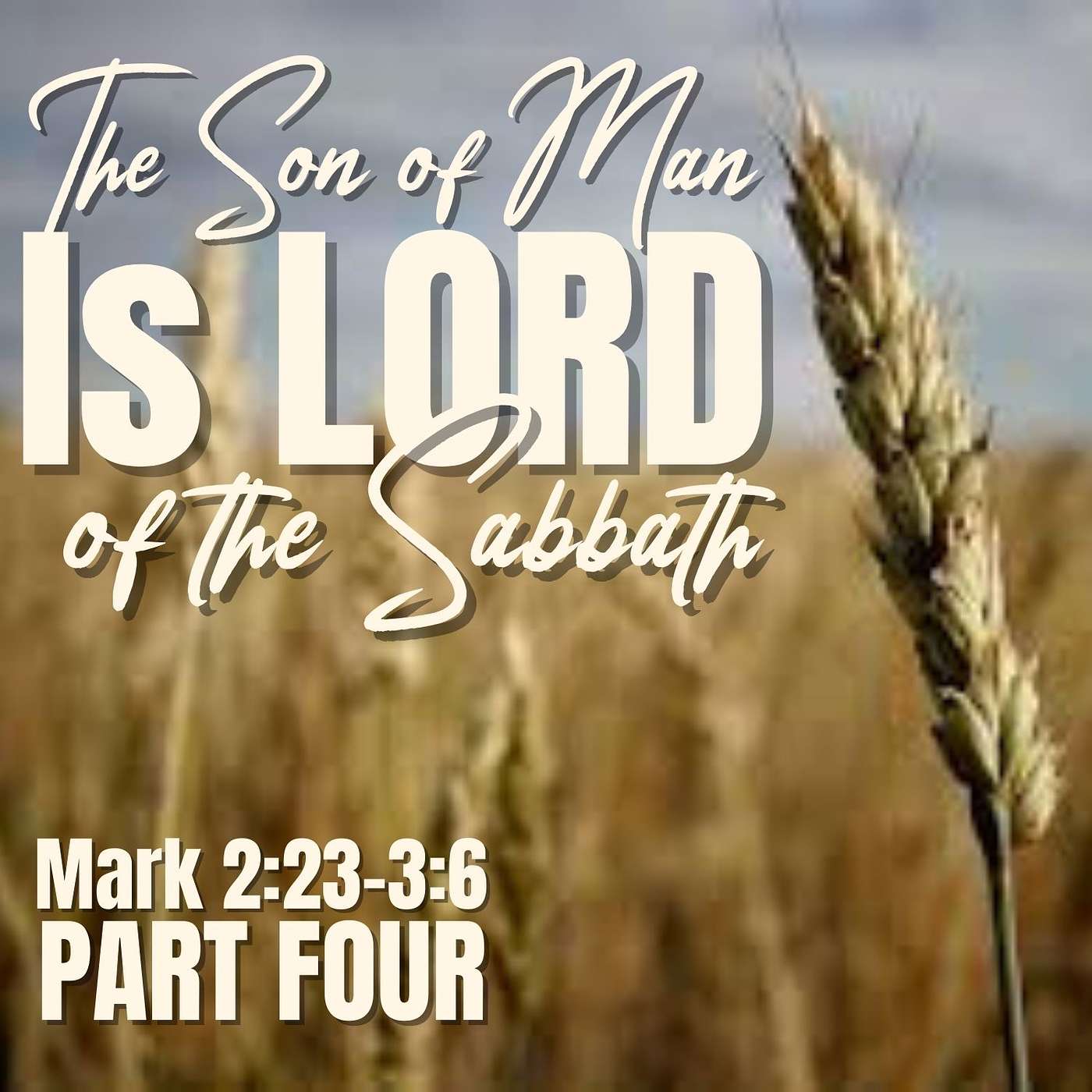The Son of Man Is Lord of the Sabbath, Part 4; Mark 2:23-3:6