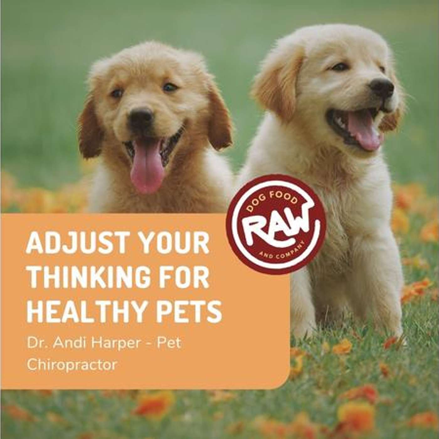 Dr. Andi The Pet Chiropractor - Adjust Your Thinking About Pet Health episode artwork