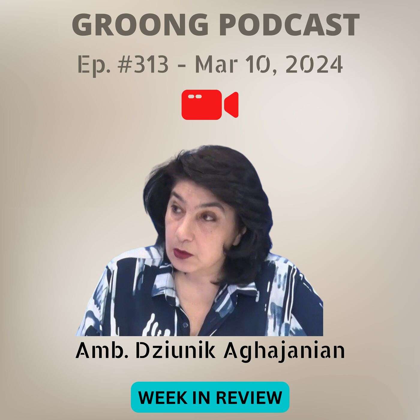 Dziunik Aghajanian - Vazgen Sargsyan | Stalled With Enemies and Allies | Looking for New Friends | Ep 313 - Mar 10, 2024 episode artwork