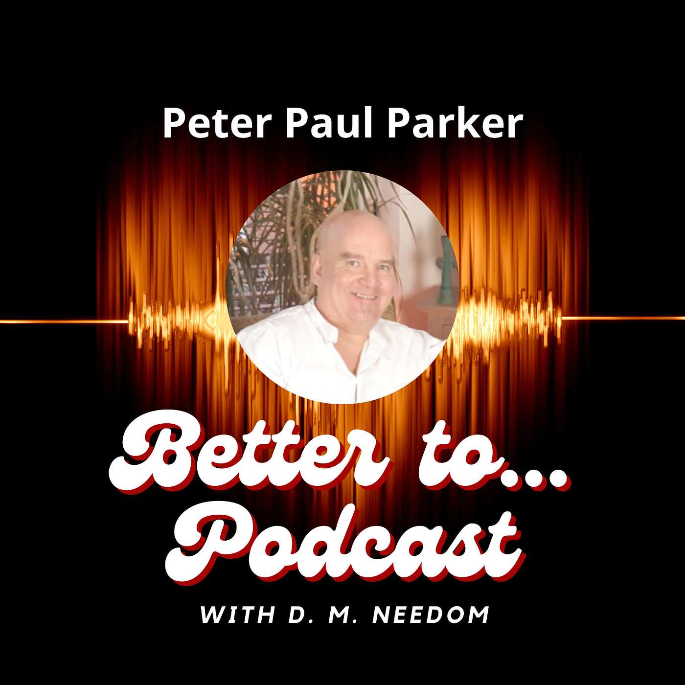 Better To... Podcast with D. M. Needom