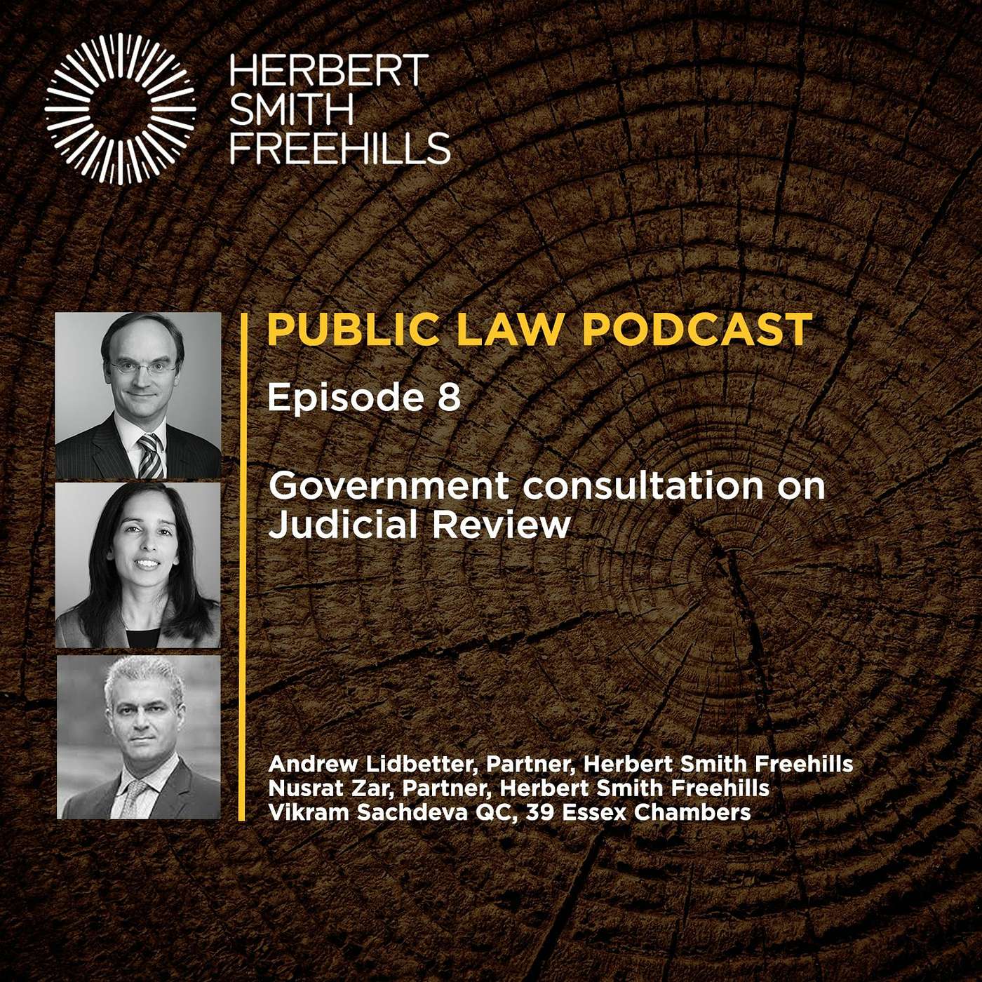 Public Law Podcast EP8: Government Consultation on Judicial Review episode artwork