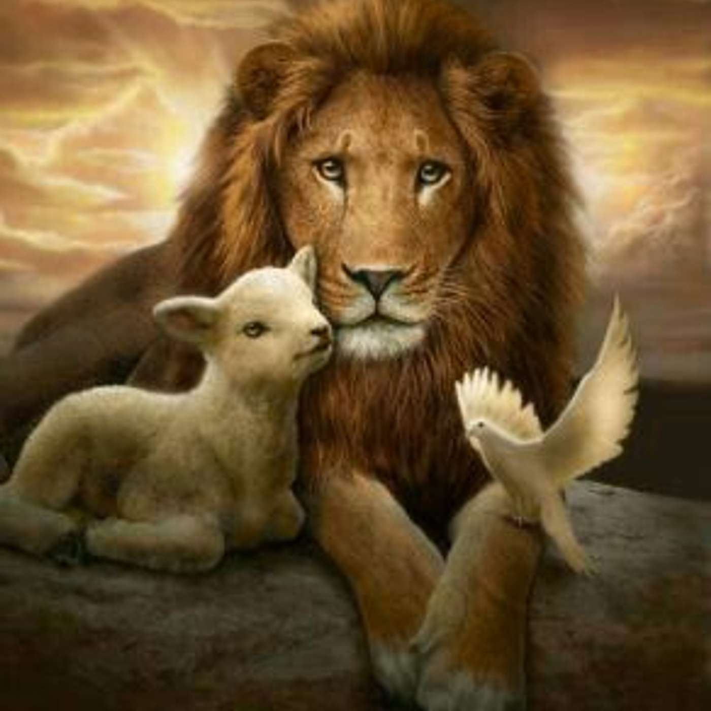 The Lamb
