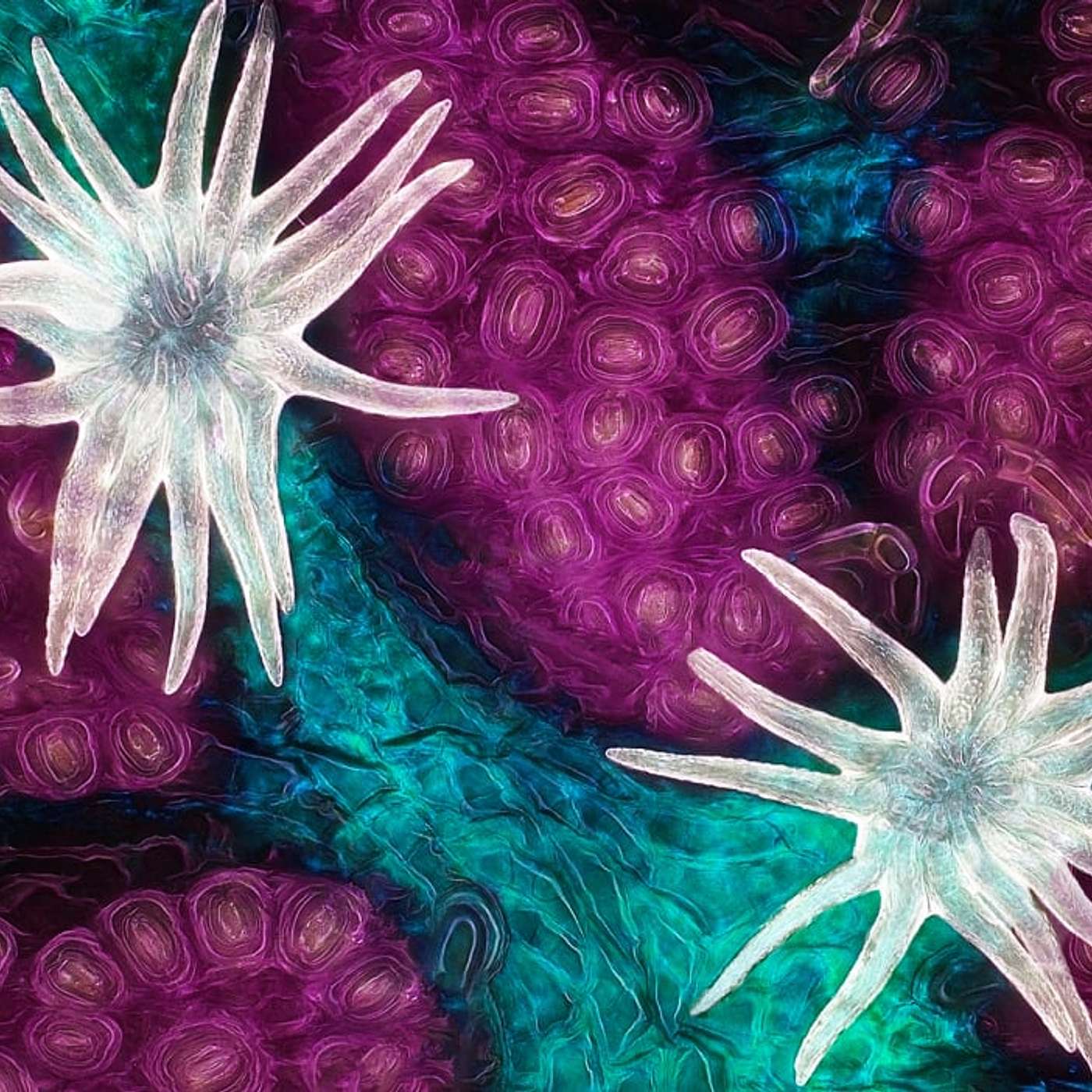 Conscious Living Conscious Dying 11 - Death - Death and The Multilife Journey