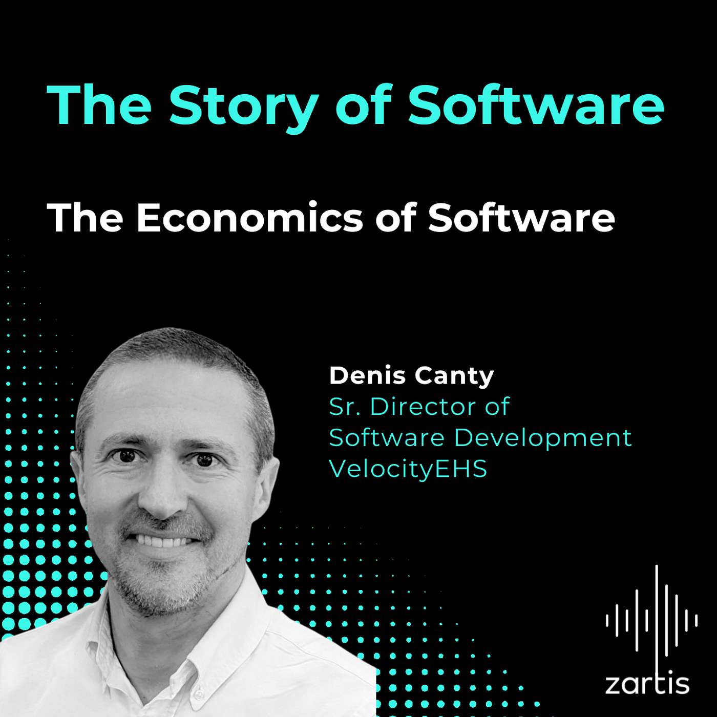 S04E20 The Economics of Software