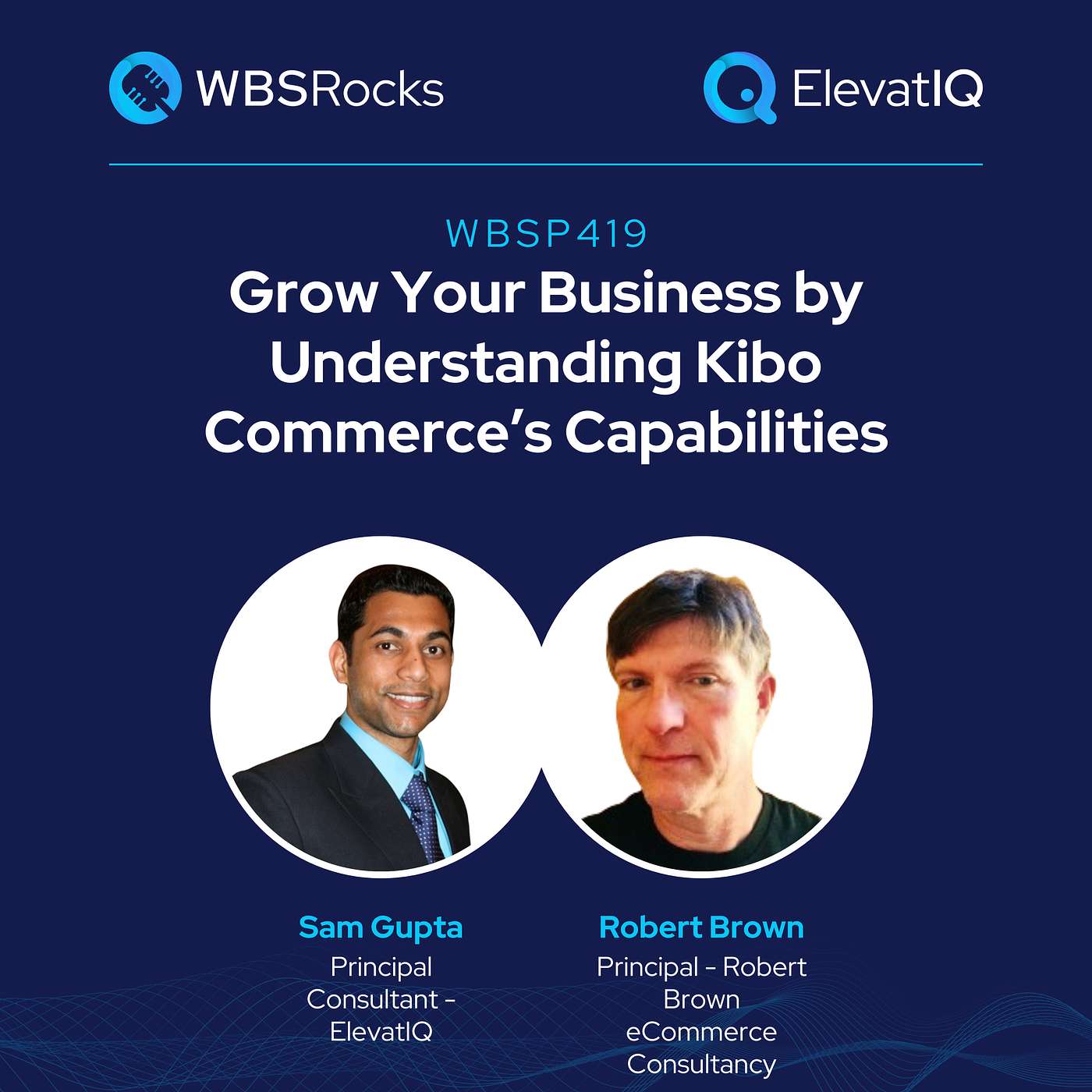 WBSRocks: Business Growth with Enterprise Software and Digital Transformation
