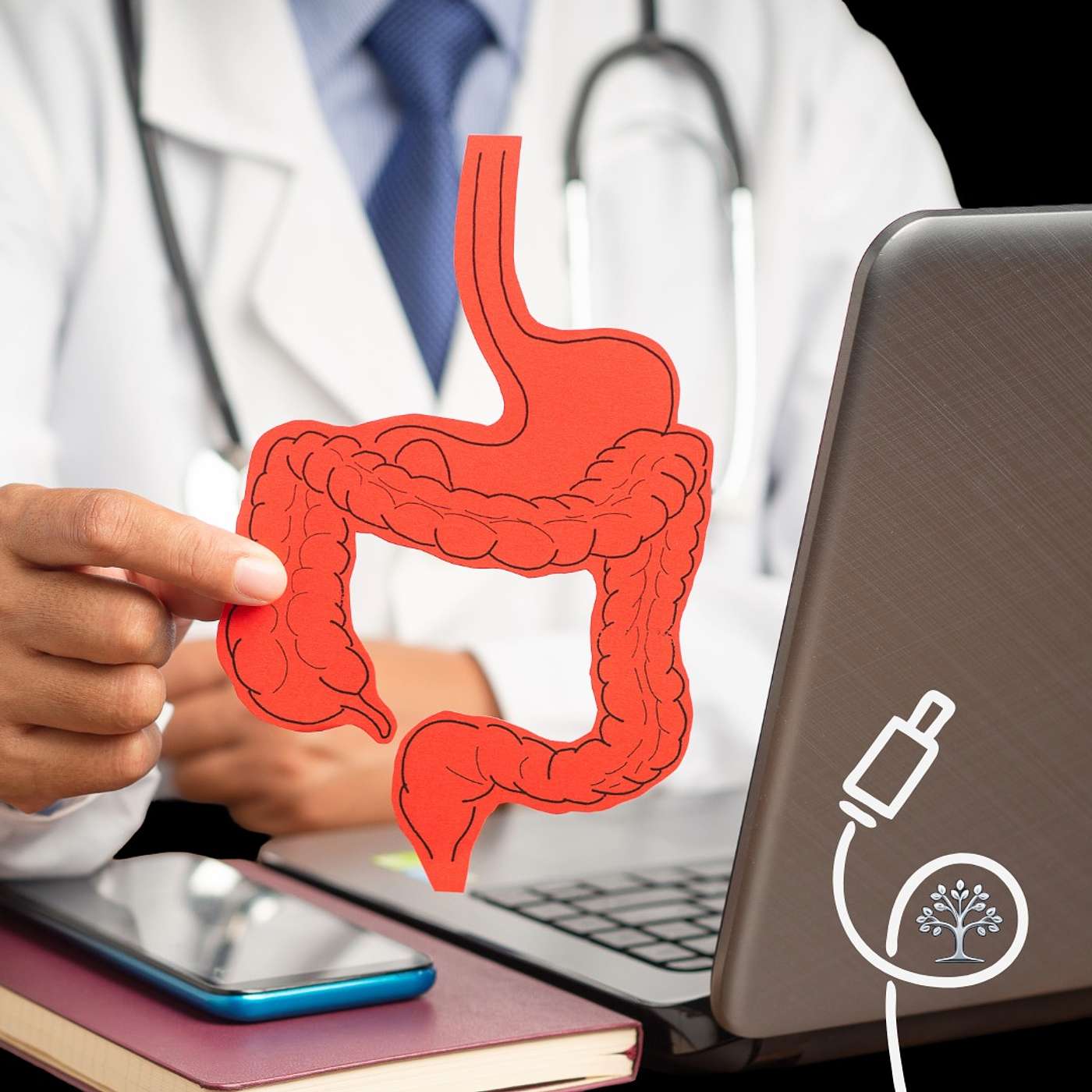 The Future of Anti-Inflammatory Diets