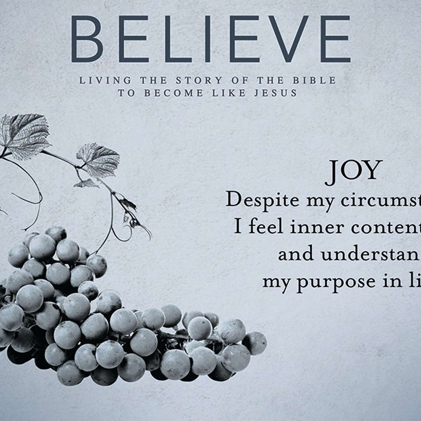 Believe: Joy