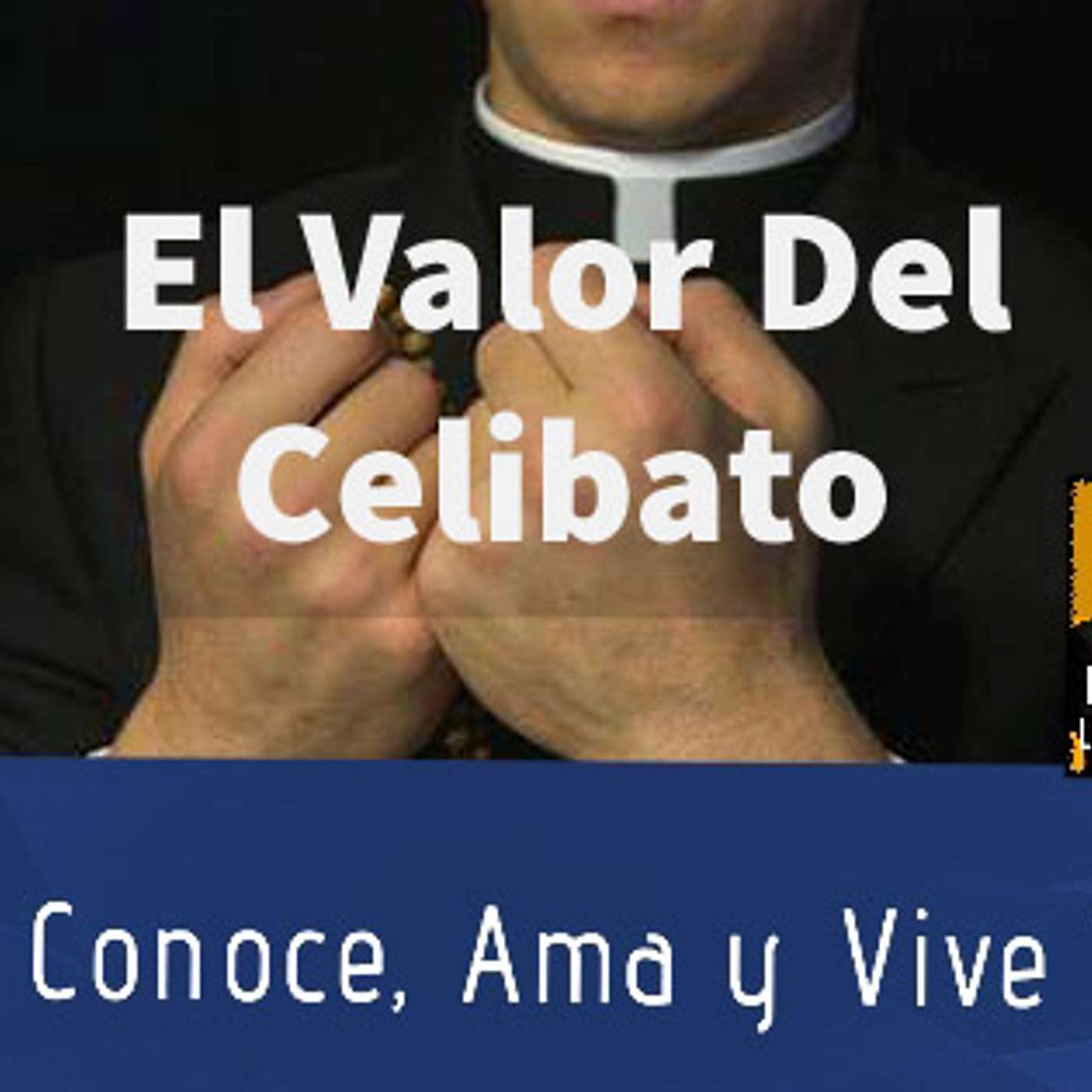Episodio 93: El Valor del Celibato ✝ (Documento final del Sinodo pide el Sacerdocio para hombres casados episode artwork