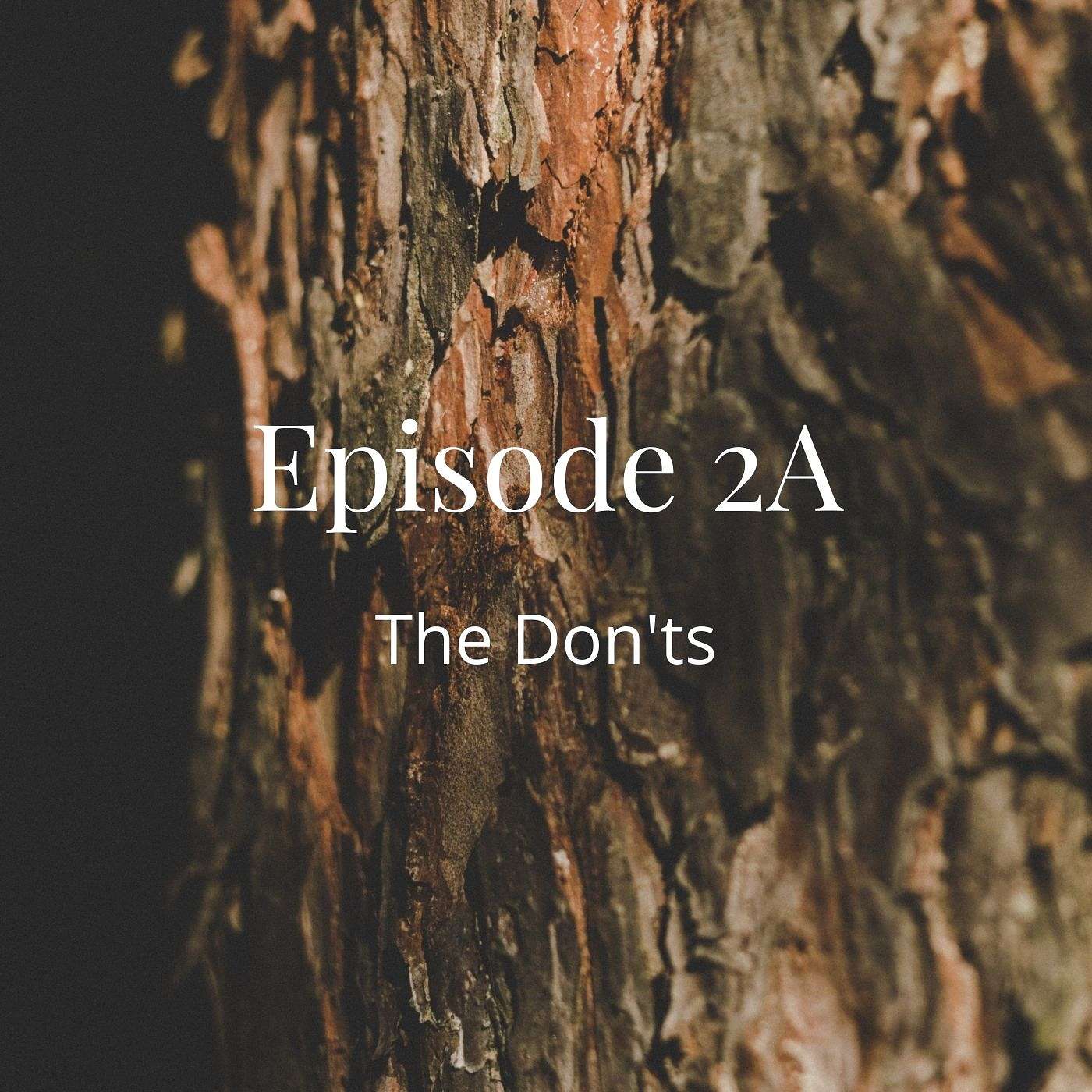 2A: The Don'ts