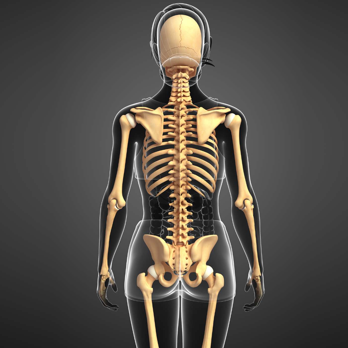 Should Chiropractic Be Your Last Option Or Your First Choice?