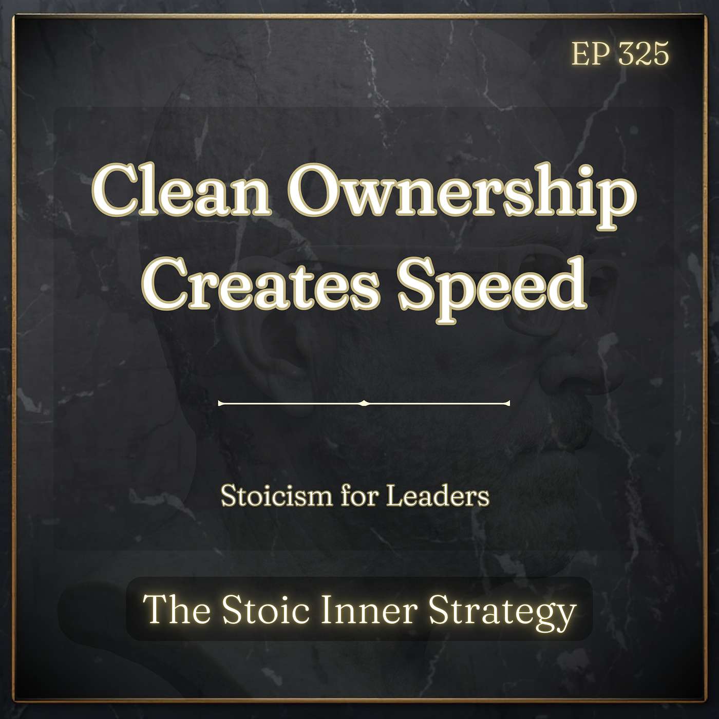 Ep 325 – Clean Ownership Creates Speed episode artwork