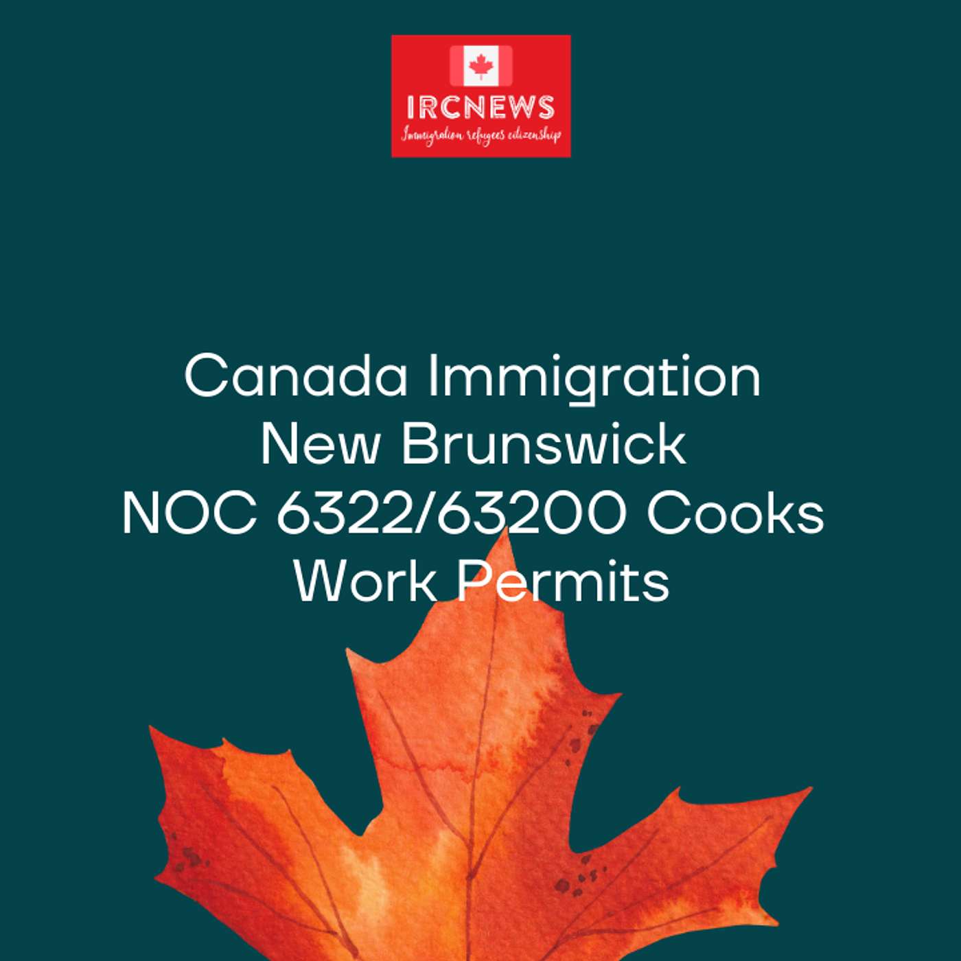 Canada Immigration New Brunswick NOC 6322/63200 Cooks Work Permits episode artwork