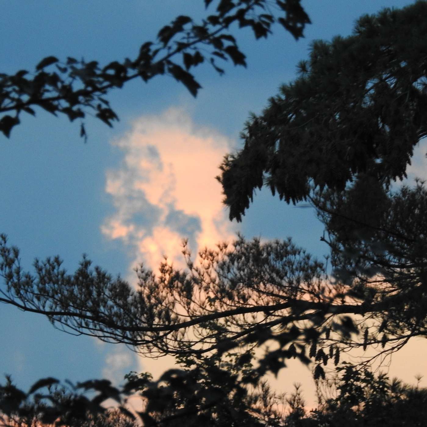 CLOUD GAZING