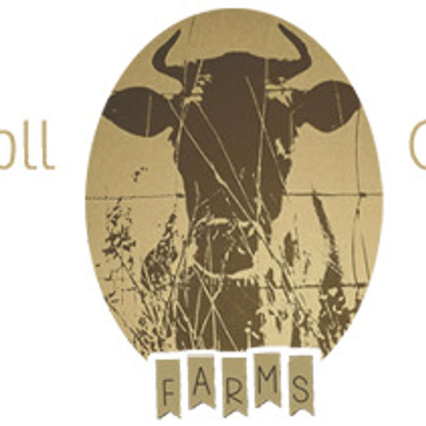 SPOTLIGHT on BUSINESS Wednesday ~ Carroll Creek Farms