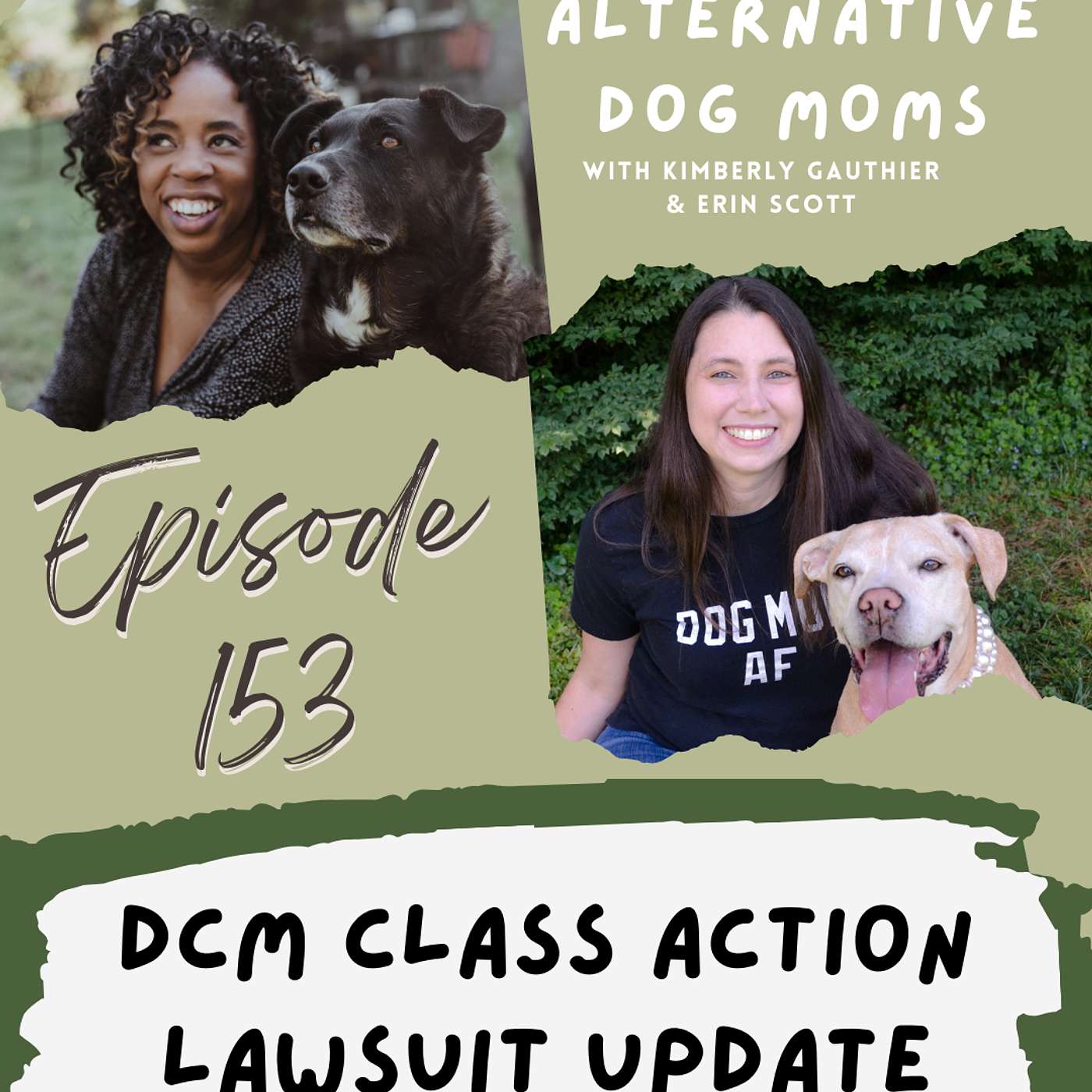 DCM Class Action Lawsuit Update & Compelling KetoPet Naturals Studies