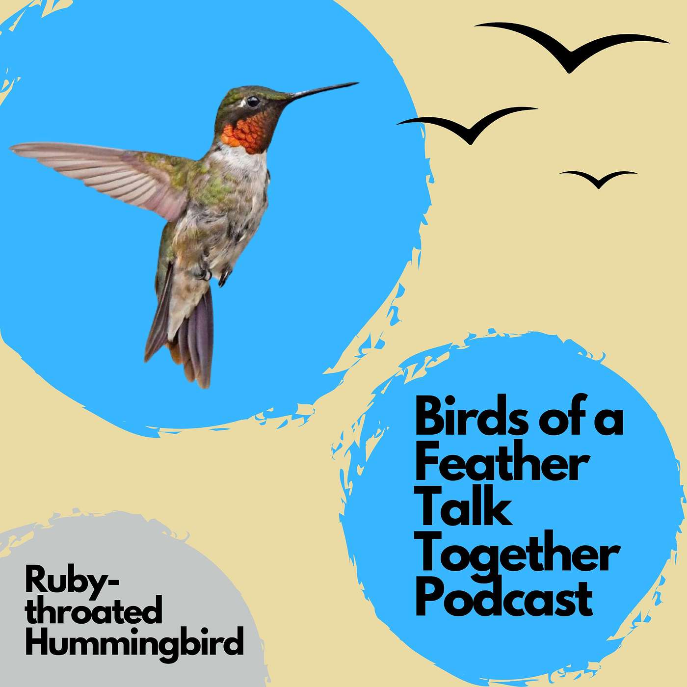 Birds of a Feather Talk Together