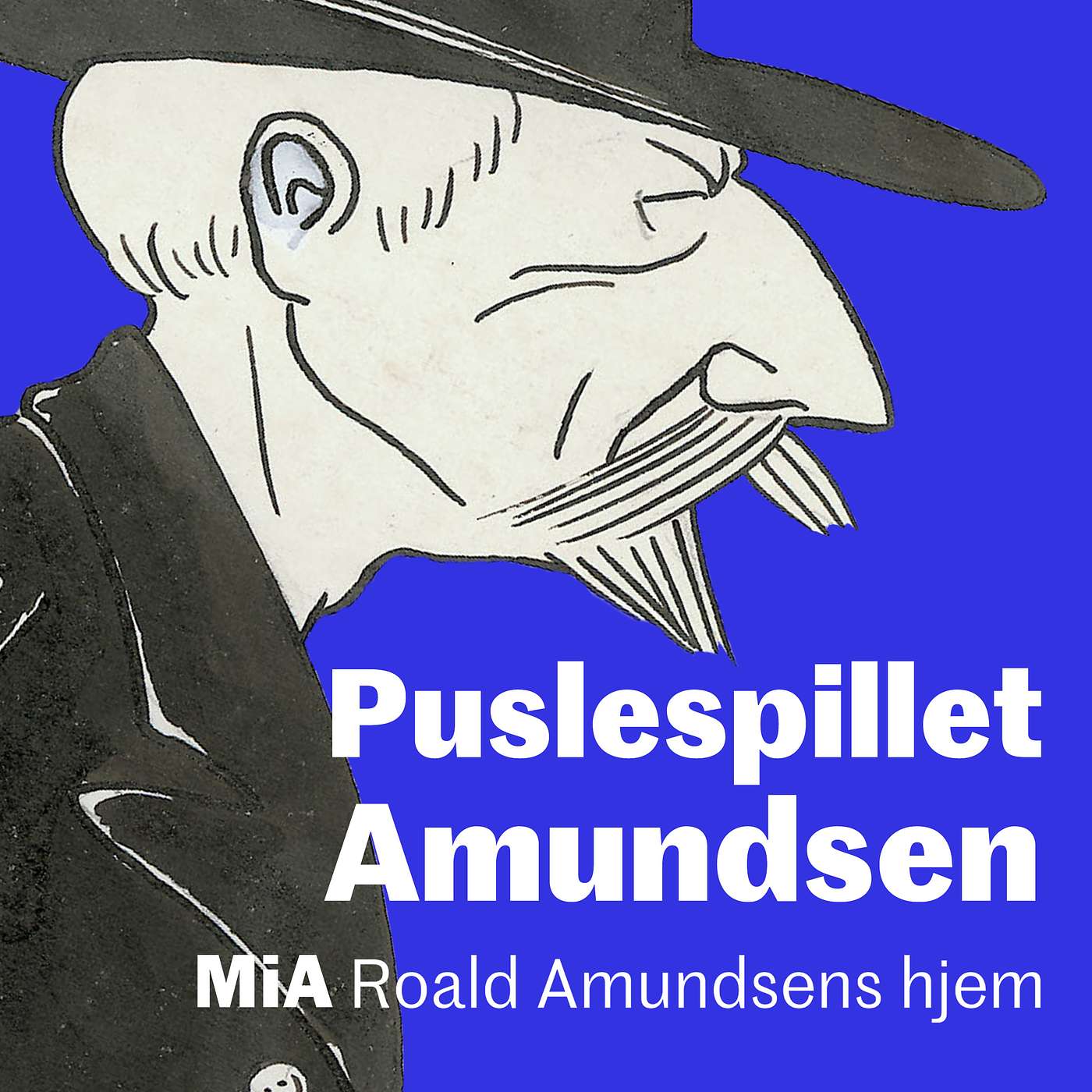 Puslespillet Amundsen