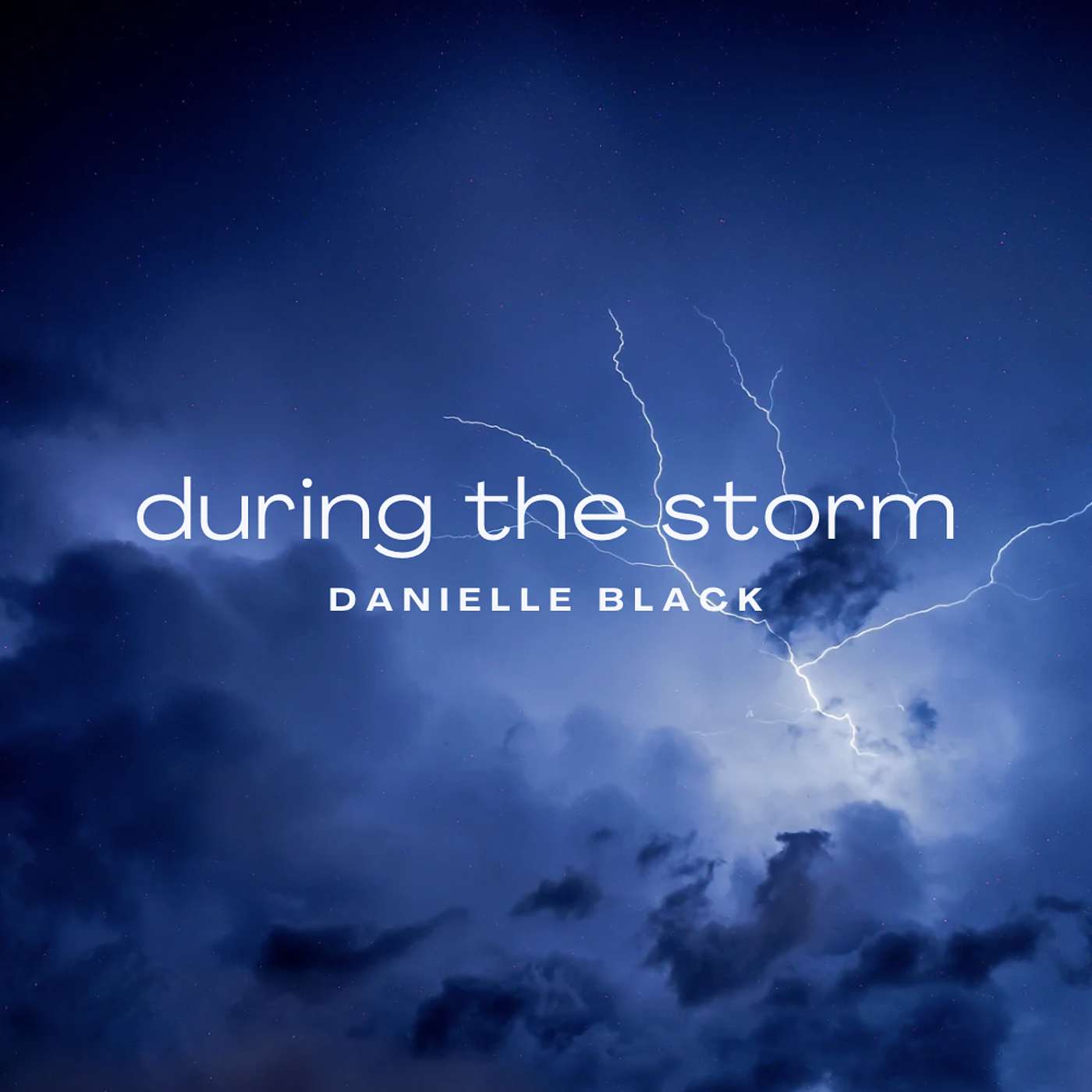 During the Storm - Grounding In the Moment episode artwork