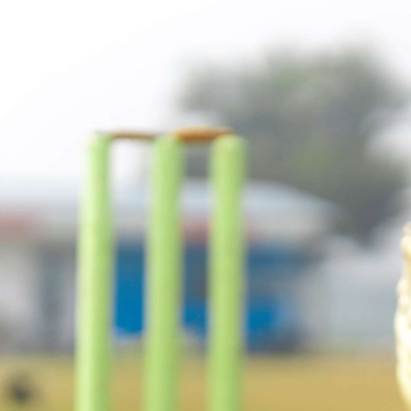 Cricket Practice Nets: Level Up Your Skills with Expert Drills!