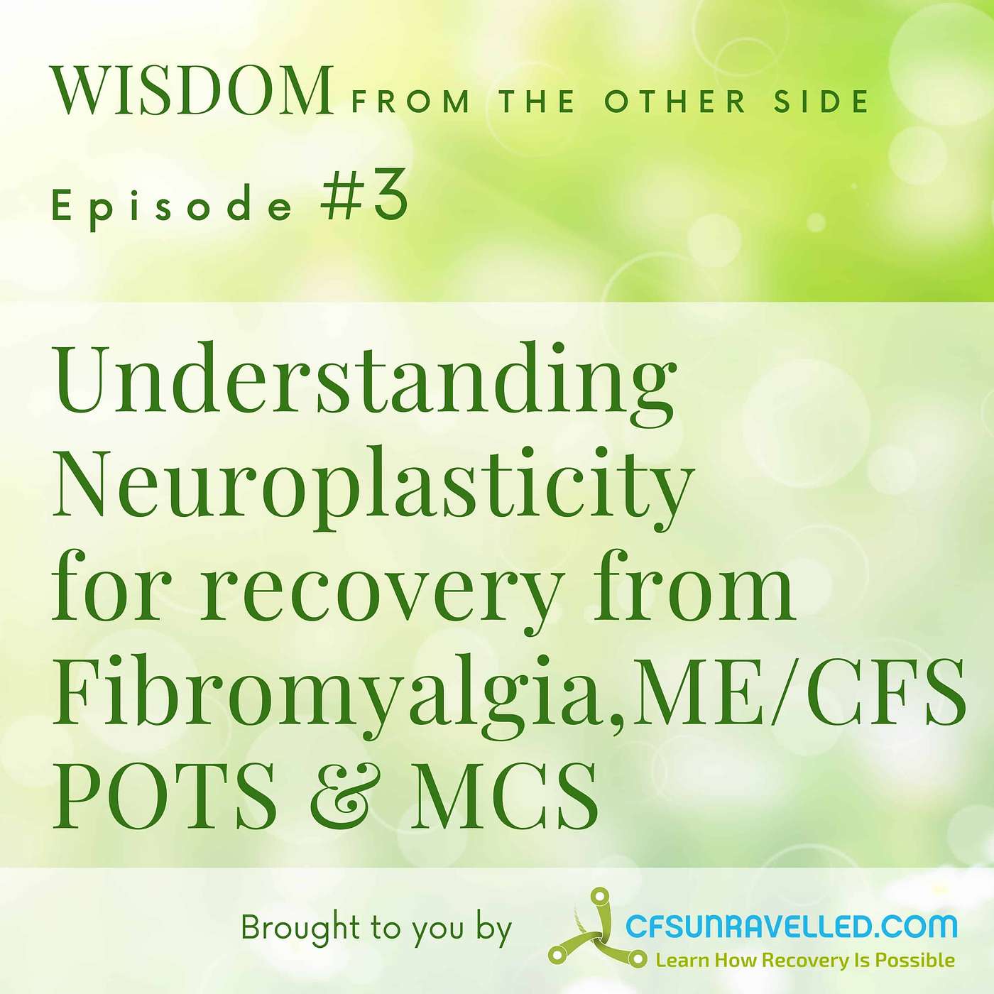 Wisdom From The Other Side Of Recovery from Fibromyalgia, ME, CFS, POTS & MCS