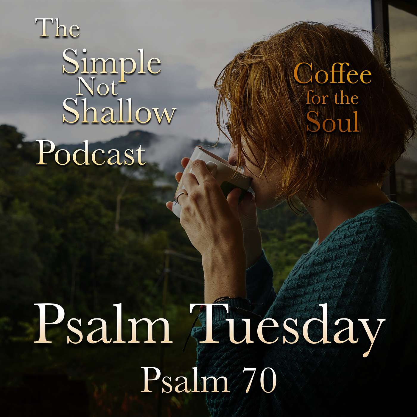 SNS 099: Pain, Sorrow, and Worship? Psalm 70 episode artwork