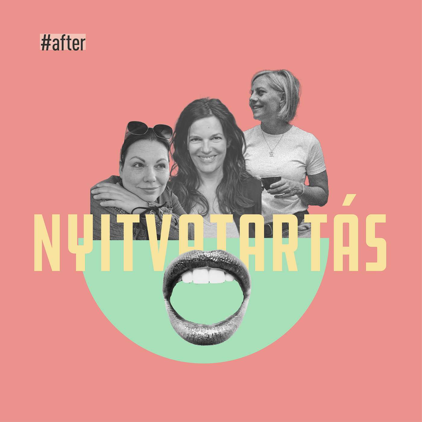 after - vigyázat politika! - közéleti feldolgozásokban utazunk episode artwork