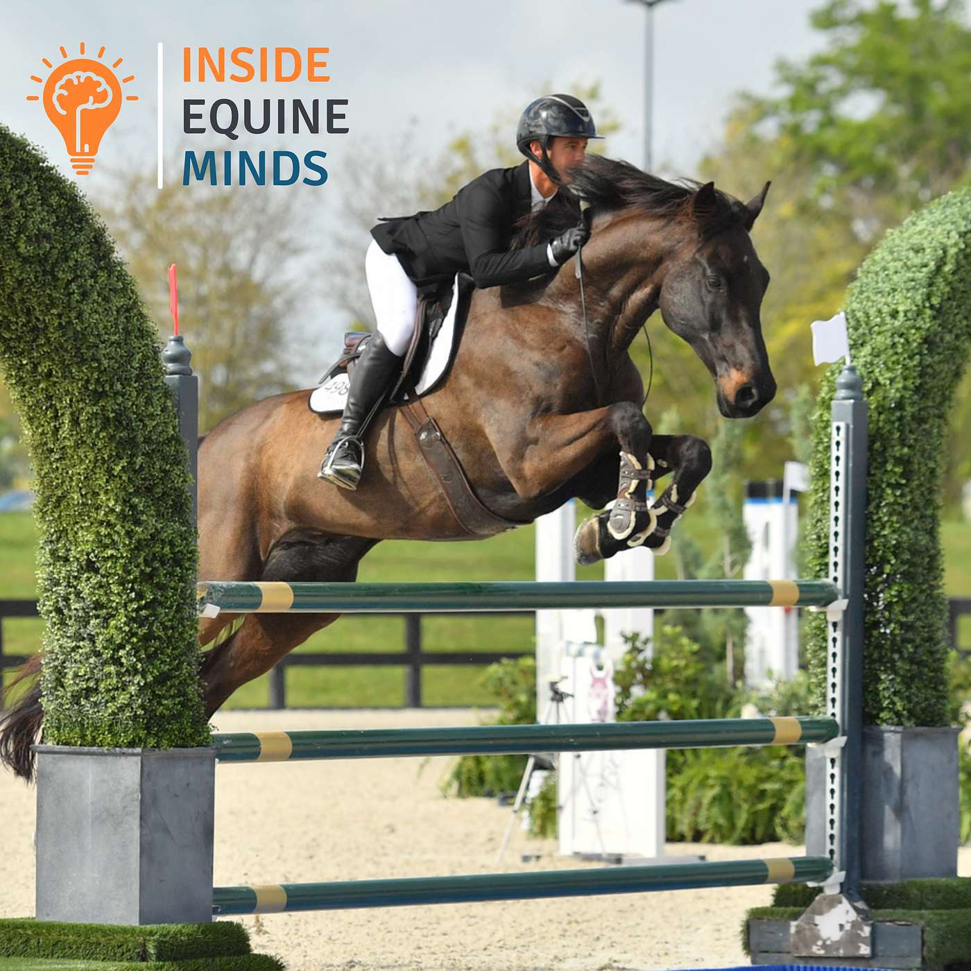 Inside Equine Minds by EqPI