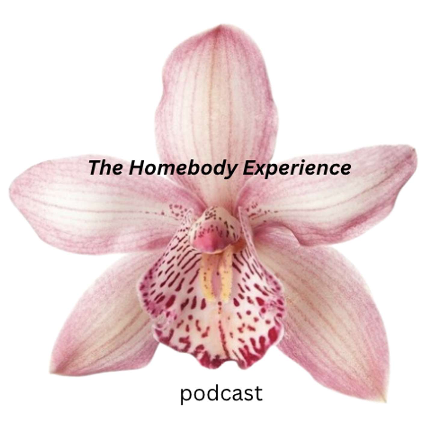 The Homebody Experience