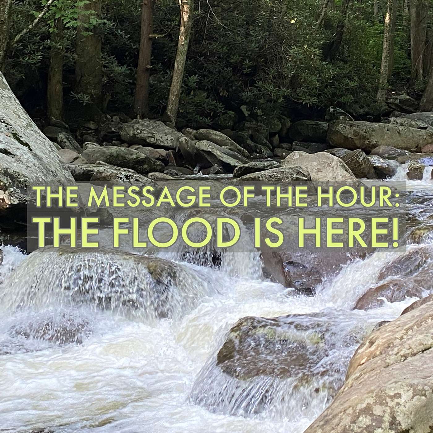 The Message of the Hour: The Flood is Here! episode artwork
