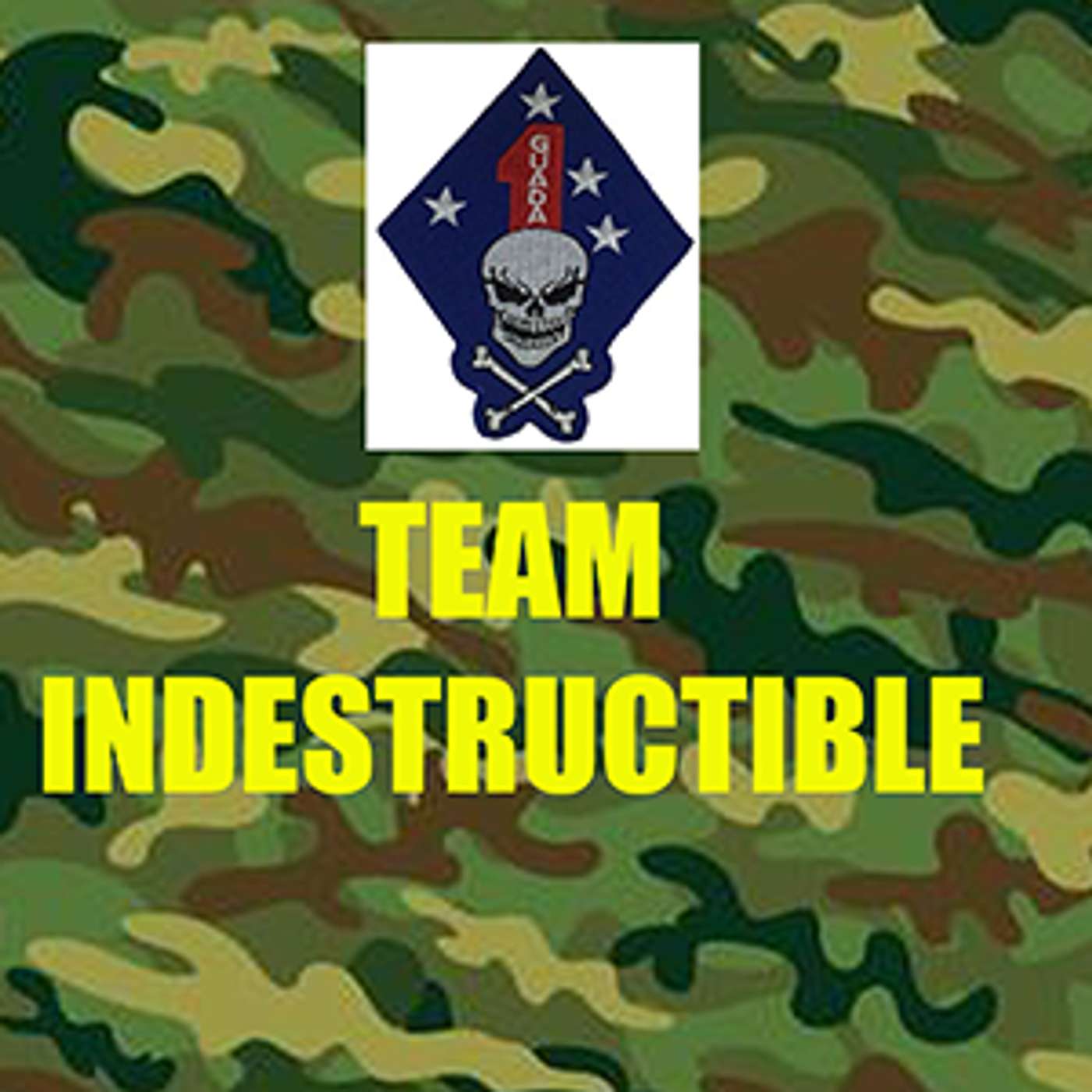 Team Indestructible cover art