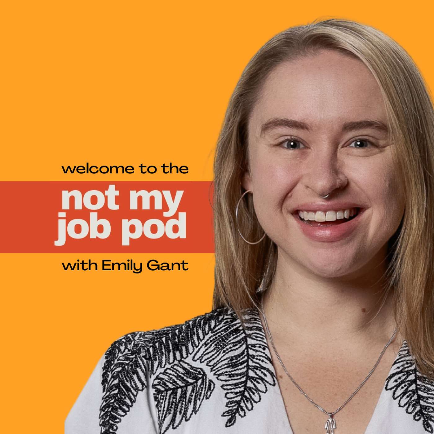 The Not My Job Pod