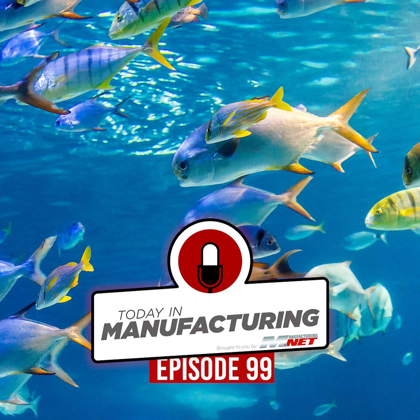 Today in Manufacturing