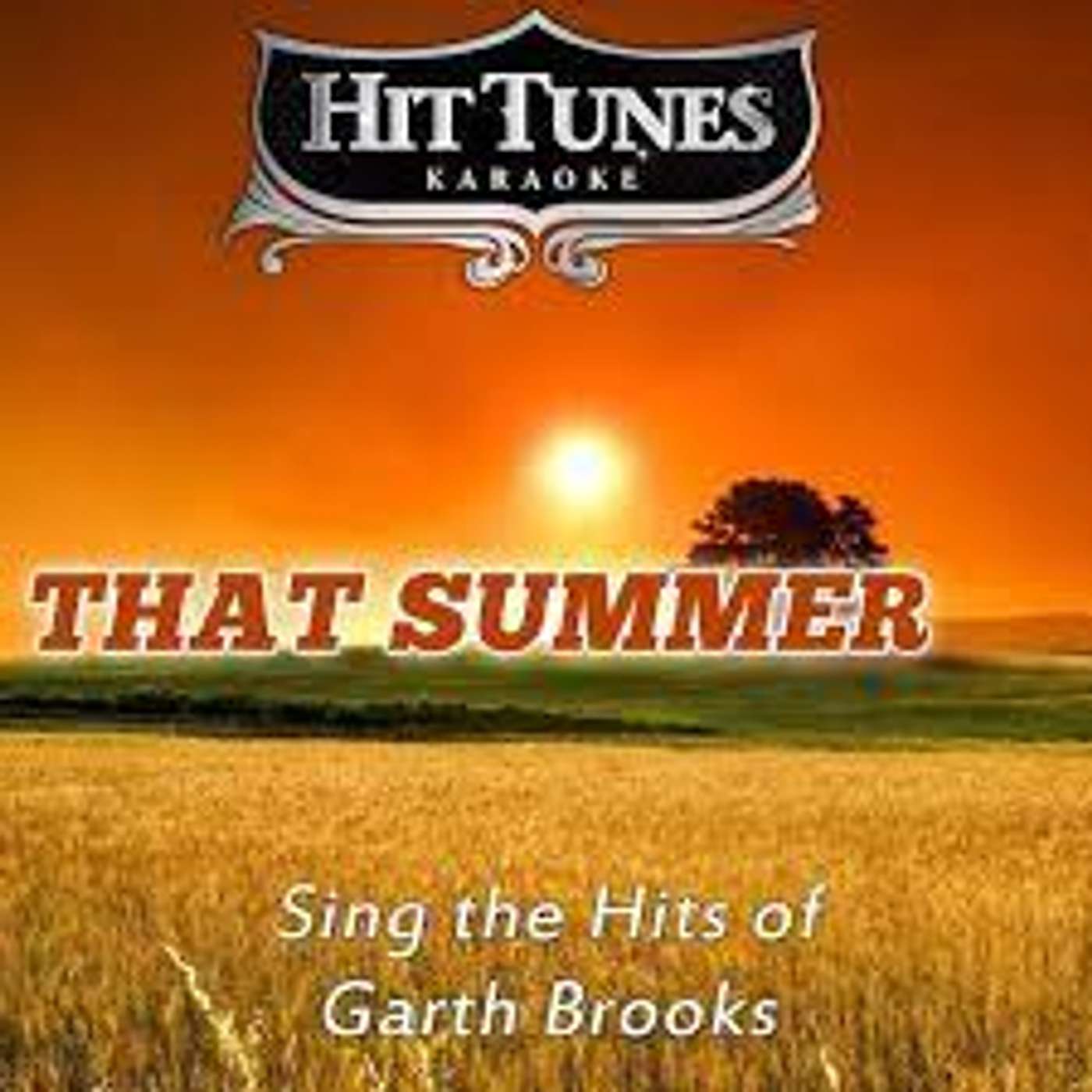 E35 - That Summer by Garth Brooks