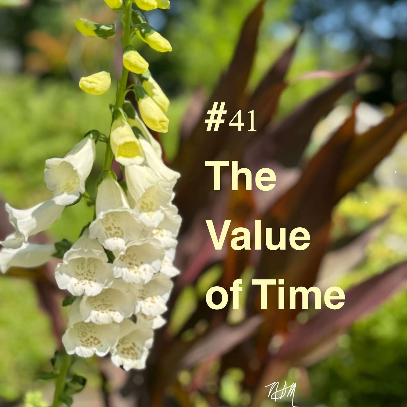 #41 - The Value of Your Time