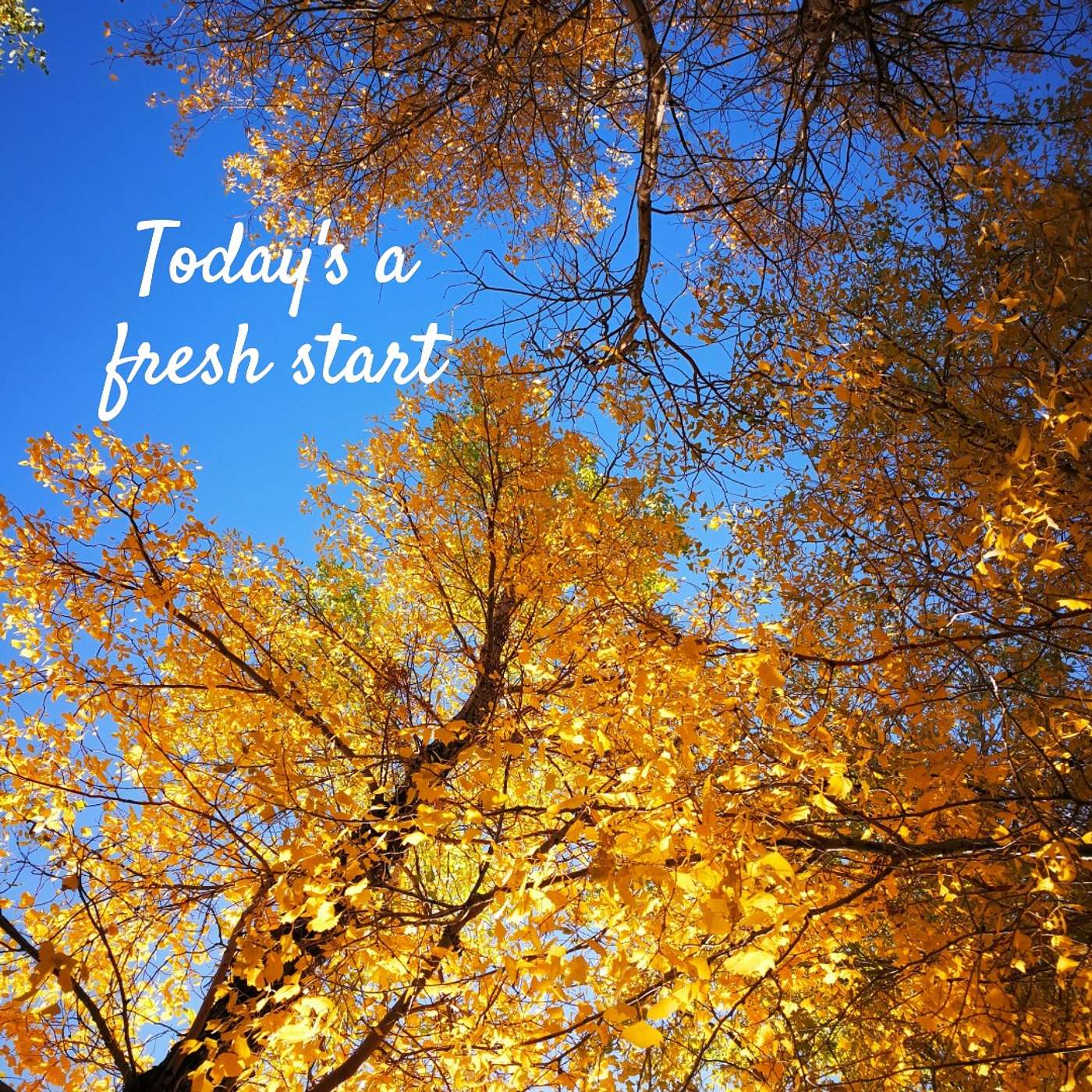# 84 Today's a fresh start episode artwork