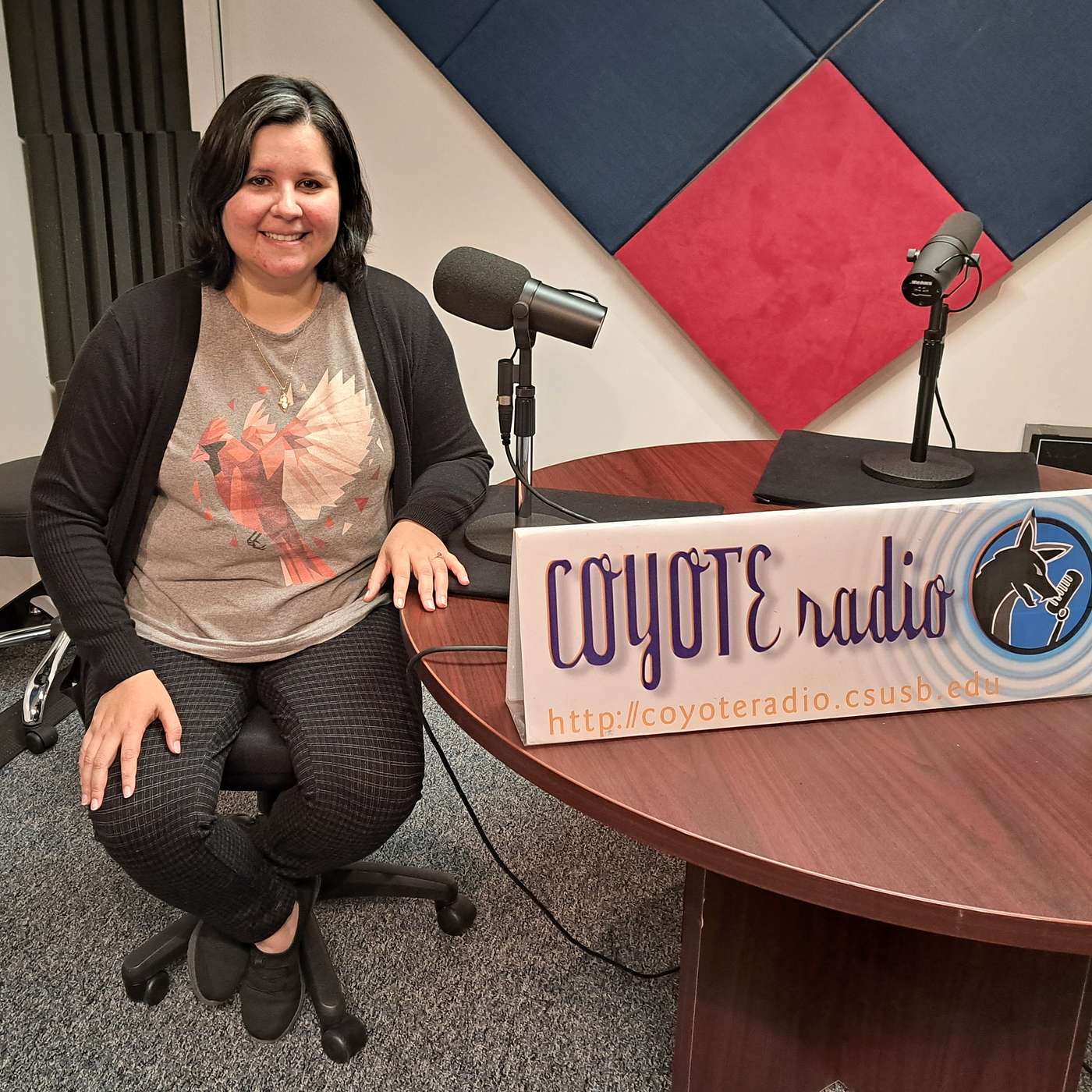 CSUSB CAL Talks