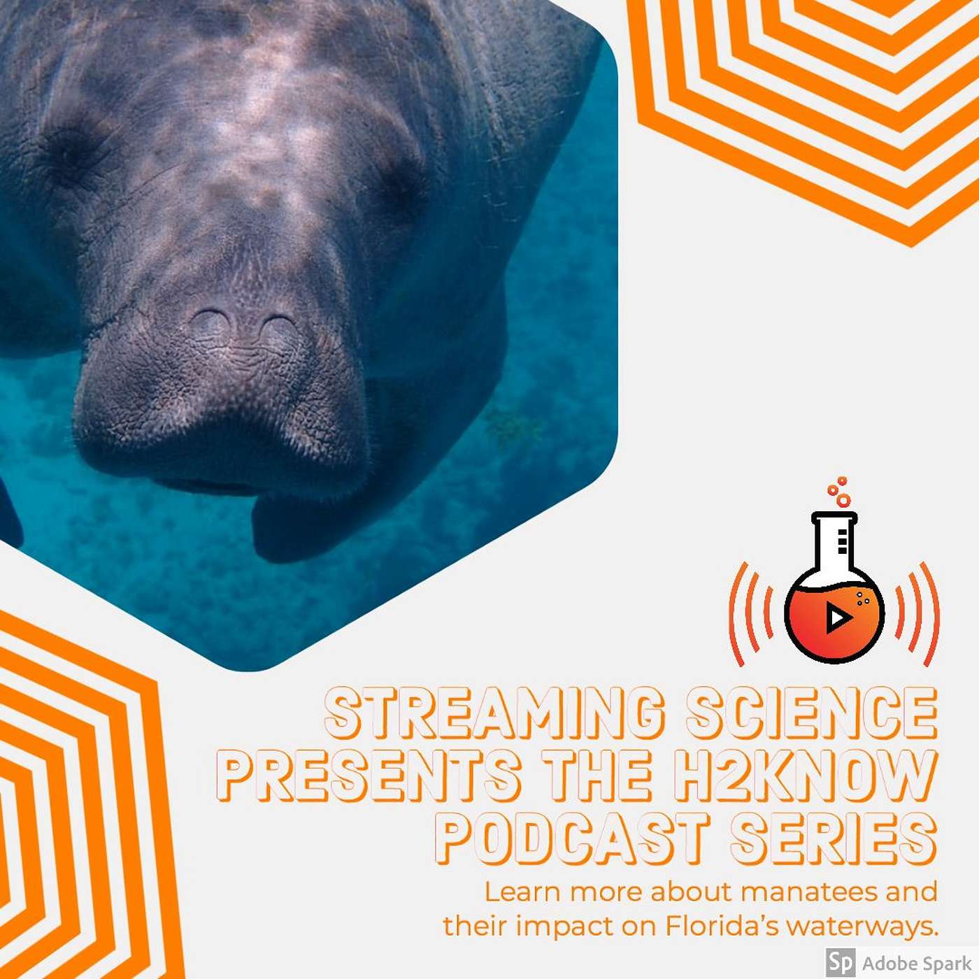 H2Know: Manatees and Waterways episode artwork