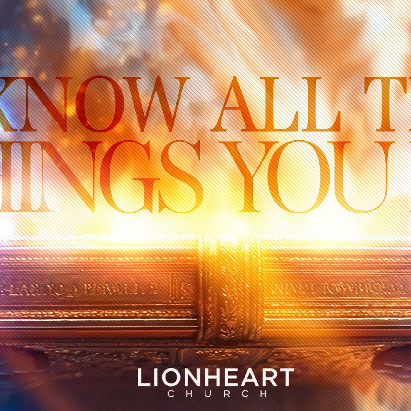 25. I Know All The Things You Do - Cont'd.