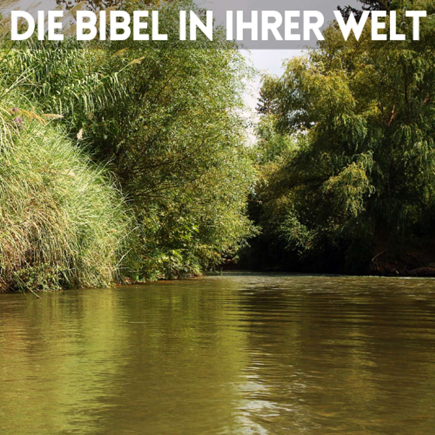 Die Bibel in ihrer Welt