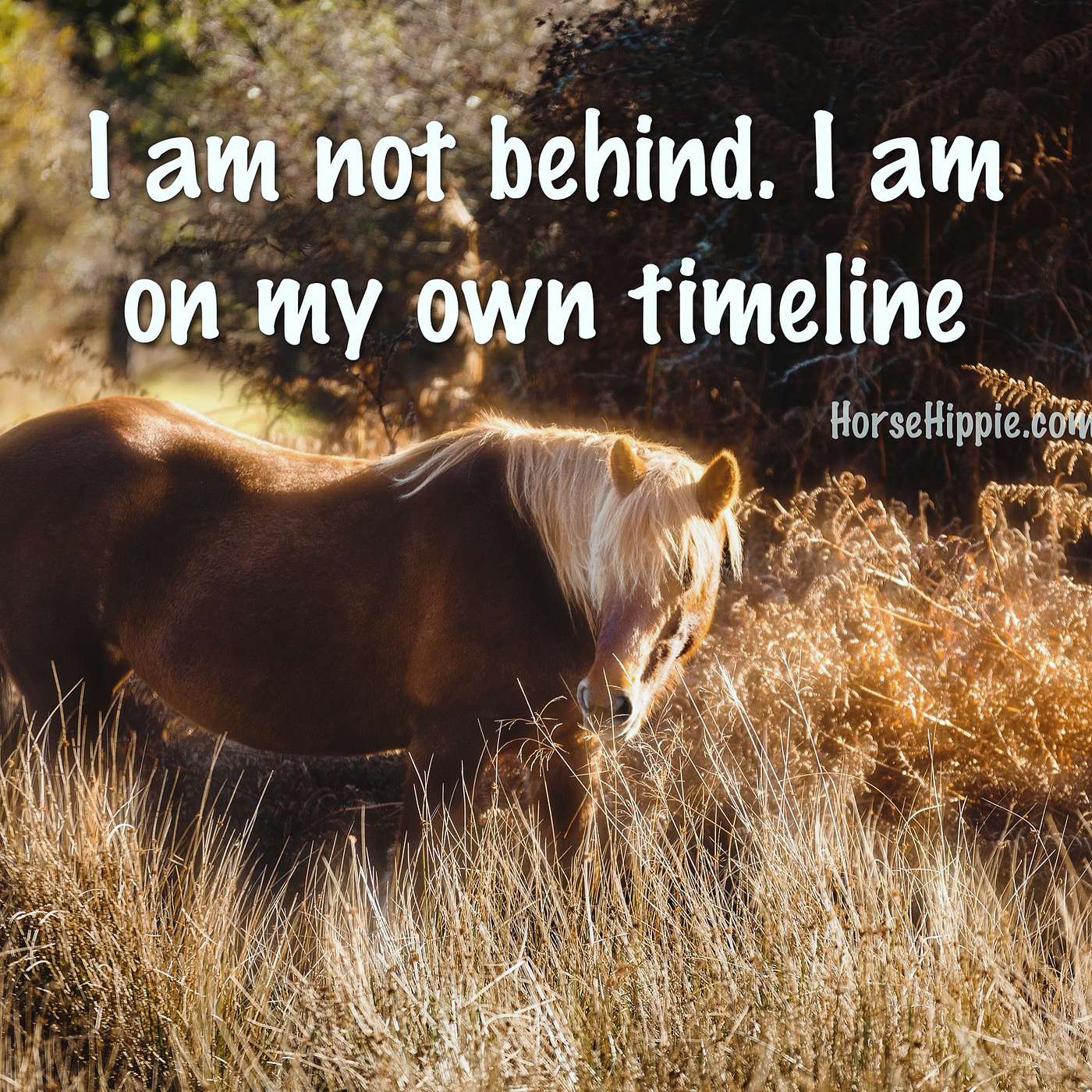 Your Pace in Life