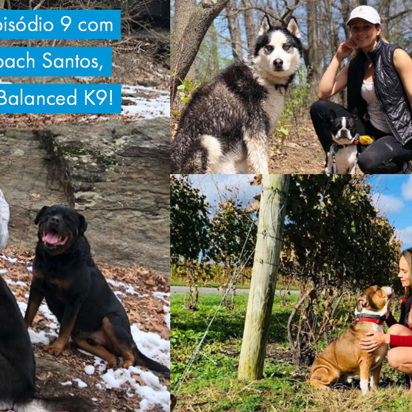 Educação Canina - Comportamento Canino & Adestramento