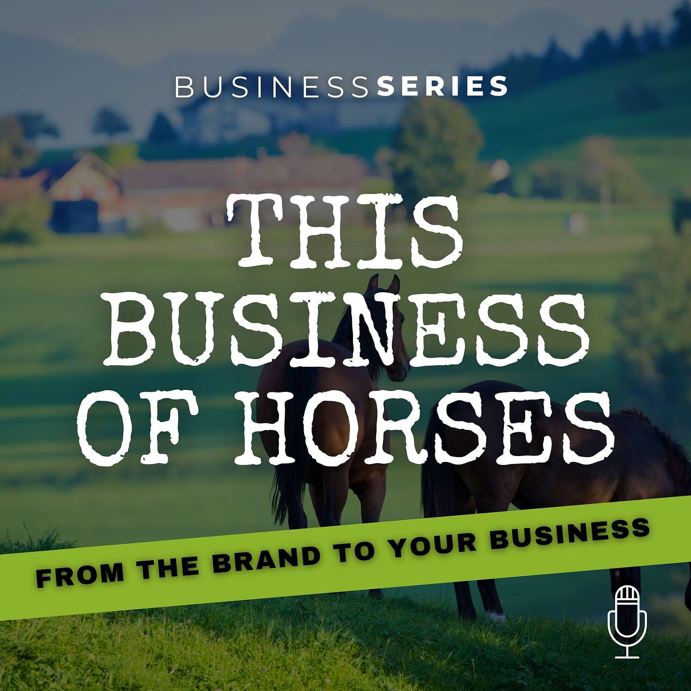Getting to know...Equine Business Consultancy