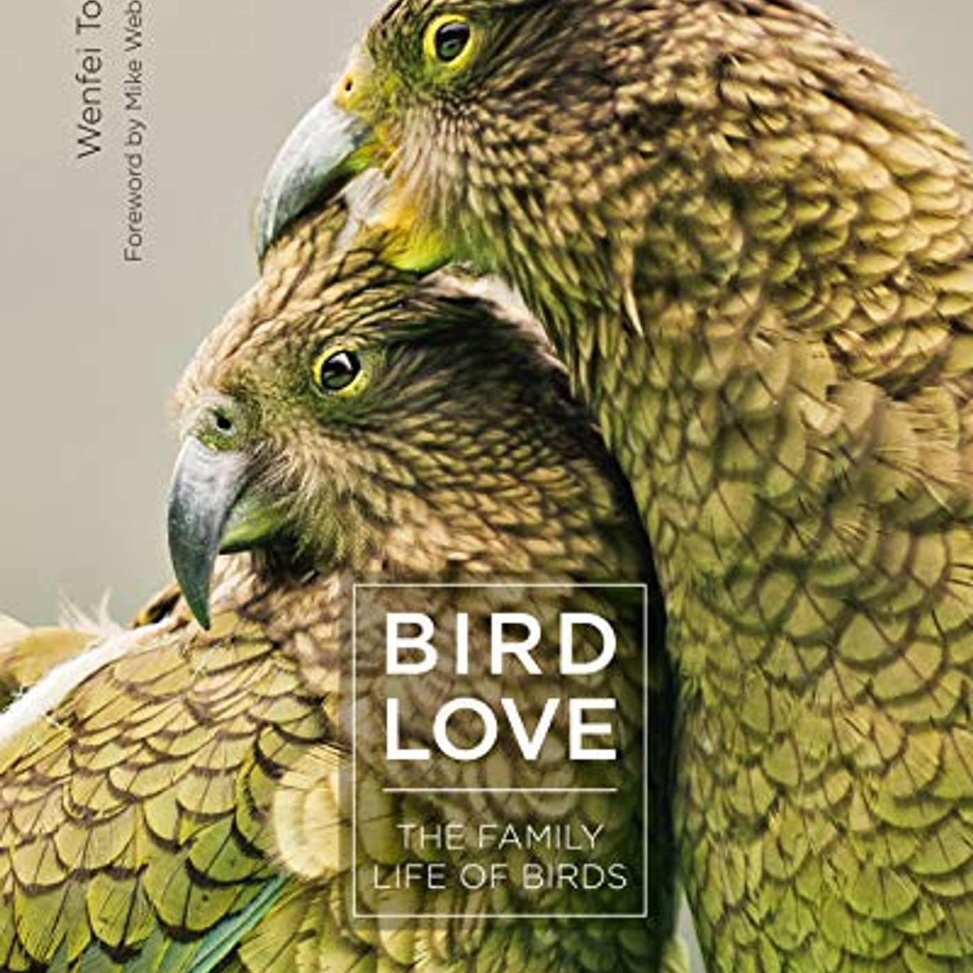 Wenfei Tong - Bird Love episode artwork